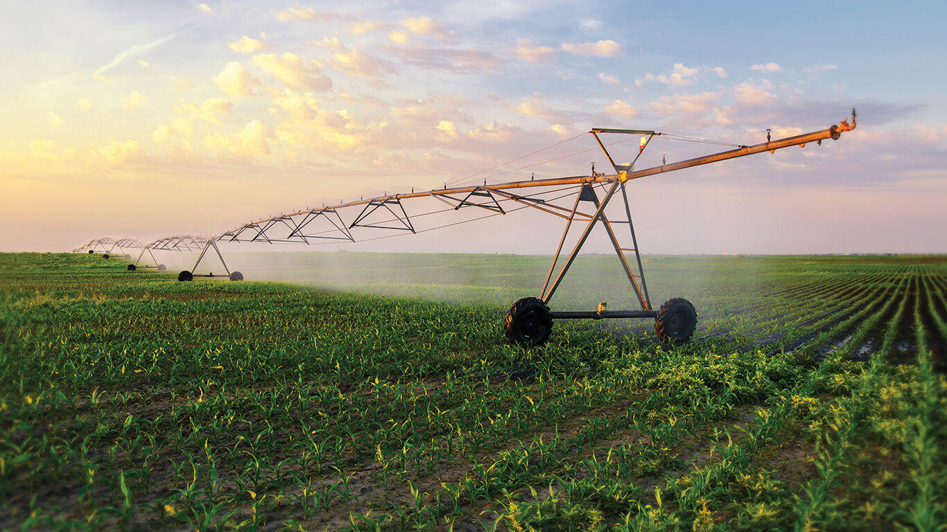 irrigation-farm-sprinkler